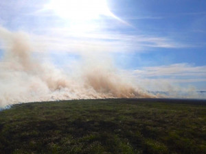 В тушении пожара принимали участие 4 человека личного состава и 1 единица техники.