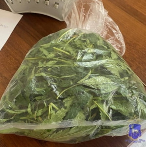 Задержанная пояснила сотрудникам полиции, что нарвала дикорастущую коноплю для собственного употребления.