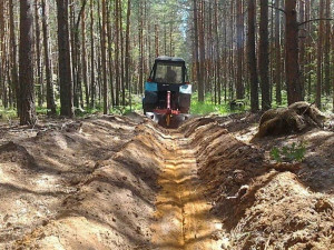 Устройство и обновление минерализованных полос – важная составляющая противопожарного обустройства лесов.