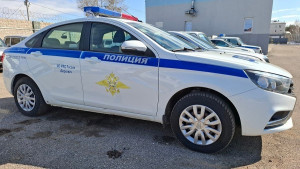 В Самарской области полицейские возбудили уголовное дело в отношении жителя Оренбургской области