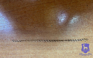 В Кировском районе Самары разбойник напал на пенсионерку, присевшую на скамейку