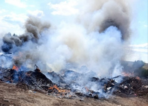 В Кинель-Черкасском районе горел мусор на площади 100 кв. метров