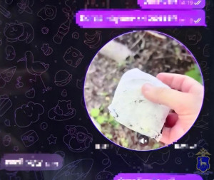 Молодой человек пояснил следователю, что противоправной подработкой решил заняться, чтоб погасить долг за электросамокат.