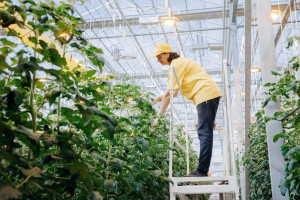 Для роста экономических показателей и обеспечения лидирующих позиций на российском рынке.