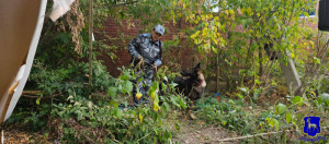 Хвостатый детектив в Самаре вернул украденный ноутбук