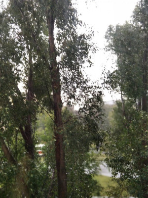 В Самаре ночью +6, +8°С, днем +15, +17°С.