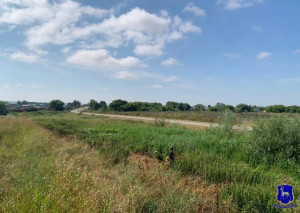 В Сергиевском районе во время операции «Мак-2025» скосили поле конопли