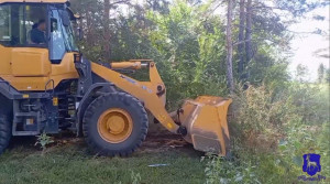 В Тольятти выявлен очаг дикого произрастания мака и конопли общей площадью более 100 кв. м