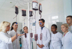 На сегодняшний день трансфузии компонентов донорской крови предусмотрены более чем в 65 стандартах оказания медицинской помощи.