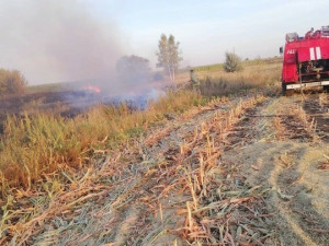 За выходные дважды выезжали на тушение сухой травы богатовские огнеборцы