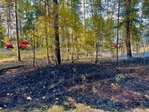 На тушение потребовалось 3 часа.