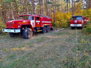 Причина пожара – непотушенный костер.