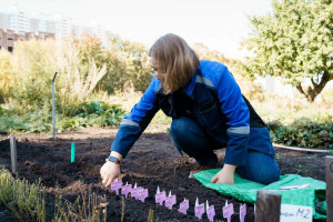 Часть семян-космонавтов были сегодня, 24 сентября, высеяны в Ботаническом саду университета на специальной "космической грядке".