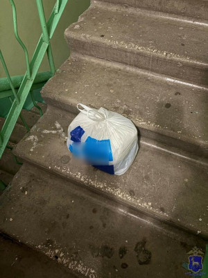 В ближайшее время следствию предстоит разобраться в произошедшем и установить роли  всех фигурантов уголовных дел.