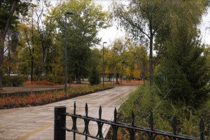 В парке уложено порядка 740 квадратных метров тротуарной плитки, высажены ель, спирея, липа, рябина, сирень, дерен, кизильник, установлены лавки и урны. 