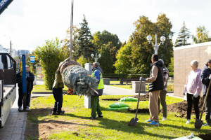 Туристический оператор провел экологическую акцию в честь дня туризма и подарил городу 10 елей для благоустройства Самарской набережной