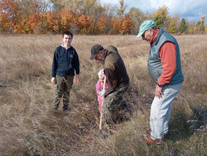 400 сосен высадили волонтеры на берегах острова Зелененького в Самаре