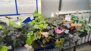 Предприниматели Безенчукского района способствуют улучшению качества жизни сельчан