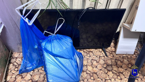 Женщина решила накормить попугая в Тольятти и лишилась имущества в Жигулевске