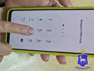 В Тольятти ранее судимый сын украл деньги с карты матери