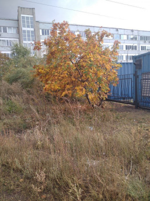 В Самаре ночью +6, +8°С, днем +16, +18°С.