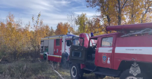 Для тушения пожара привлекались 15 специалистов и 7 единиц техники.