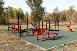 Строительство ФОКа в поселке Береза обсудили в Самаре