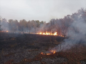 За сутки в Волжском районе общая площадь горения травы составила 89 000 квадратных метров