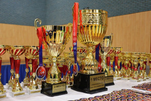 400 спортсменов приняли участие во Всероссийском турнире по шотокан каратэ «Кубок «Союз народов» в Самаре