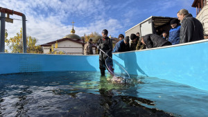 Восполнение биосферы является частью ESG-стратегии энергокомпании, предусматривающей бережное отношение к экологии.