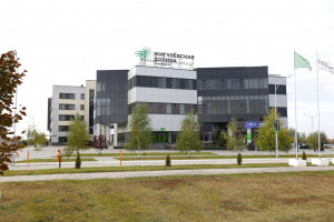 Эксперты расскажут о мерах поддержки, которые оказывают федеральные и региональные институты.