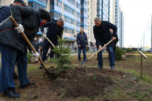 28 новых саженцев елей высадили на Аллее дружбы народов в Самаре