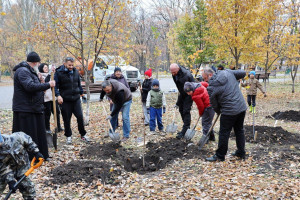 Молодые липы высадили общественники в парке имени Гагарина в Самаре