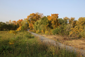 самарцы стали активнее использовать мобильный интернет на прогулках