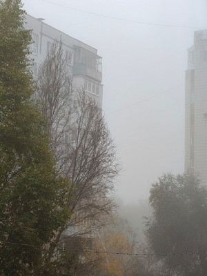 Водители и пешеходы соблюдай правила дорожного движения.