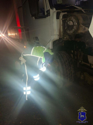 В Самарской области госавтоинспекторы оказали помощь водителю, попавшему в трудную жизненную ситуацию