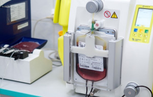 За один день региональный банк донорской крови пополнился на 120 литров.