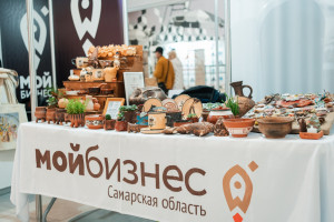 За девять месяцев 2025 года общий объём закупок компаний с госучастием у самозанятых граждан составил почти 660 млн рублей.