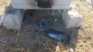 По версии оперативников, после совершения преступления подозреваемые покинули Самарскую область.