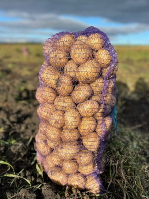 Самарские аграрии за десять лет удвоили объемы производства
