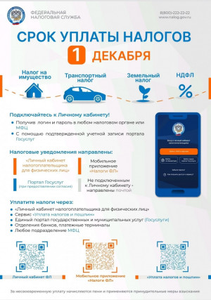 Оплатить имущественные налоги и НДФЛ можно быстро и легко через «Личный кабинет налогоплательщика».