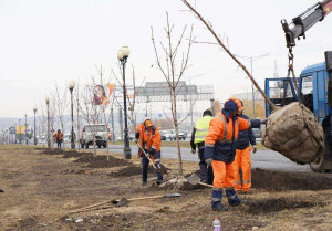 Вопросы комплексного благоустройства, включая озеленение городских территорий, находятся на особом контроле губернатора Самарской области.