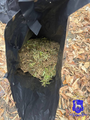 В отношении задержанного сызранца возбуждено уголовное дело.