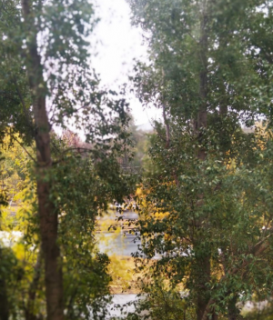 Закрывайте окна в домах.