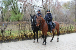 Они патрулируют парки, улицы и другие общественные места, обеспечивая охрану общественного порядка.
