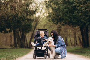 Такие средства передвижения действительно полезны в особых случаях: когда животное травмировано, тяжело болеет или уже в возрасте и не может активно двигаться.