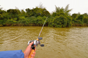 Рекомендации.