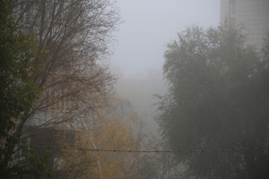утром 18 ноября местами в Самарской области ожидается туман