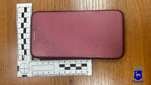 Сызранка нашла телефон и отдала дочери, а та передала подруге