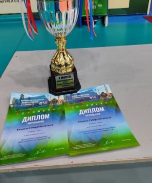 Для сборных команд Самарской области по тхэквондо ГТФ сезон 2025 года был одним из самых результативных.